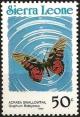 Colnect-4292-664-Graphium-ridleyanus.jpg