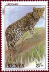 Colnect-1734-835-Leopard-Panthera-pardus.jpg