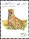 Colnect-2786-198-Leopard-Panthera-pardus.jpg