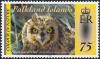 Colnect-3912-247-Falkland-Short-eared-Owl-Asio-flammeus-sanfordi.jpg