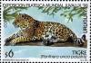 Colnect-491-750-Pantanal-Jaguar-Panthera-onca-palustris-.jpg