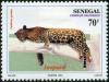 Colnect-951-625-Leopard-Panthera-pardus.jpg
