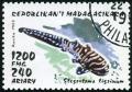 Colnect-869-306-Zebra-Shark-Stegostoma-tigrinum.jpg