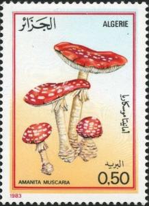 Colnect-2066-495-Fly-agaric-Amanita-muscaria.jpg