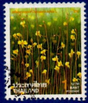 Colnect-1880-543-New-Year--Utricularia-bifida.jpg