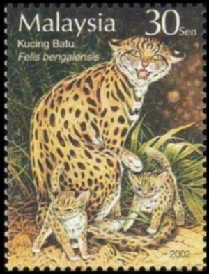 Colnect-4159-677-Asian-Leopard-Cat-Felis-bengalensis-.jpg
