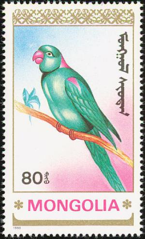 Colnect-860-462-Alexandrine-Parakeet-Psittacula-eupatria.jpg