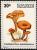 Colnect-1112-303-Cantharellus-miniatescens.jpg
