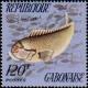 Colnect-1209-585-Guinean-Parrotfish-Scarus-hoefleri.jpg