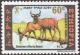 Colnect-2771-430-Swayne-rsquo-s-Hartebeest-Alcelaphus-buselaphus.jpg
