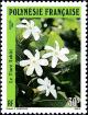Colnect-3226-570-Tiar-eacute--Tahiti.jpg