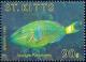 Colnect-3241-312-Stoplight-Parrotfish-Sparisoma-viride.jpg
