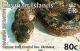 Colnect-598-092-Cayman-Island-Dwarf-Boa-Tropidophis-caymanensis.jpg