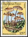 Colnect-3495-648-Marasmius-scorodonius.jpg