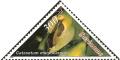 Colnect-2272-447-Catasetum-Macrocarpum.jpg