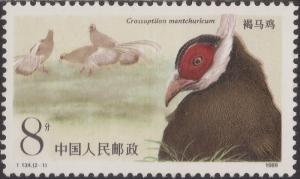 Colnect-1457-473-Brown-eared-Pheasant-Crossoptilon-mantchuricum.jpg