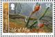 Colnect-3244-921-Common-Pheasant%C2%A0Phasianus-colchicus.jpg