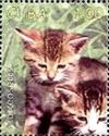 Colnect-2556-906-Domestic-Cat-Felis-silvestris-catus.jpg