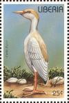 Colnect-3811-660-Western-Cattle-Egret-Bubulcus-ibis.jpg