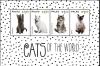 Colnect-4909-978-Cats-of-the-World.jpg