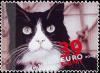 Colnect-702-600-Domestic-Cat-Felis-silvestris-catus.jpg