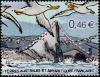 Colnect-888-679-Test-of-the-great-albatrosses-marathon-Kerguelen-Islands.jpg
