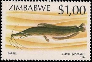 Colnect-2311-437-African-catfish-Clarias-gariepinus.jpg
