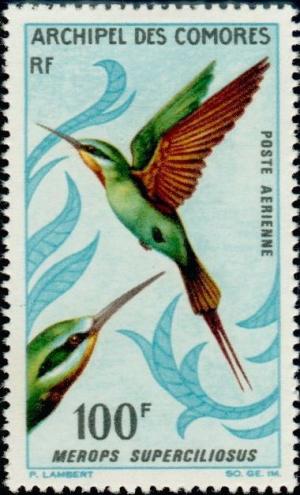 Colnect-791-268-Olive-Bee-eater-Merops-superciliosus.jpg