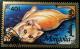 Colnect-1128-842-Domestic-Cat-Felis-silvestris-catus.jpg