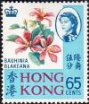 Colnect-1055-720-Bauhinia-Blakeana.jpg