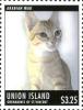 Colnect-4131-042-Arabian-Mau-Felis-silvestris-catus.jpg