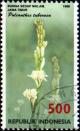 Colnect-940-833-Flora-and-Fauna--Polianthes-tuberosa.jpg