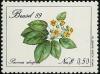 Colnect-718-172-Pavonia-alnifolia.jpg