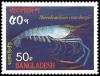 Colnect-2528-486-Giant-River-Prawn-Macrobrachium-rosenbergii.jpg