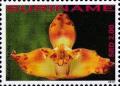 Colnect-4044-947-Maxillaria-fucata.jpg