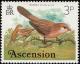 Colnect-1405-604-Common-Waxbill-Estrilda-astrild.jpg