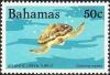 Colnect-1386-128-Green-Sea-Turtle-Chelonia-mydas.jpg