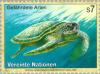 Colnect-139-107-Green-Sea-Turtle-Chelonia-mydas.jpg