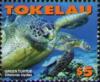 Colnect-1743-355-Green-Sea-Turtle-Chelonia-mydas.jpg