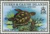 Colnect-1764-436-Green-Sea-Turtle-Chelonia-mydas.jpg