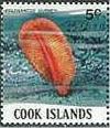 Colnect-2220-788-Orange-Sea-Pen-Ptilosarcus-gurneyi.jpg