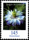 Colnect-5202-321-Love-in-a-mist-Nigella-damascena.jpg