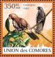Colnect-3669-423-Lesser-Vasa-Parrot-Coracopsis-nigra.jpg