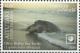 Colnect-6578-280-Olive-Ridley-Sea-Turtle-Lepidochelys-olivacea.jpg