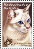 Colnect-966-880-Lilac-Tabbypoint-Balinese-Felis-silvestris-catus.jpg