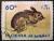 Colnect-2380-359-European-Rabbit-Oryctolagus-cuniculus.jpg