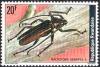 Colnect-2396-416-Longhorn-Beetle-Macrotoma-serripes.jpg