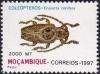 Colnect-2492-886-Longhorn-Beetle-Enaretta-conifera.jpg