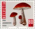 Colnect-141-182-Red%E2%80%93capped-Scraber-Stalk--Leccinum-aurantiacum.jpg