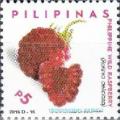 Colnect-3537-702-Philippine-Wild-Berry-Rollinia-deliciosa-Sapinit.jpg